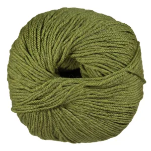 Cascade Yarns 220 Superwash Yarn - 1919 Turtle