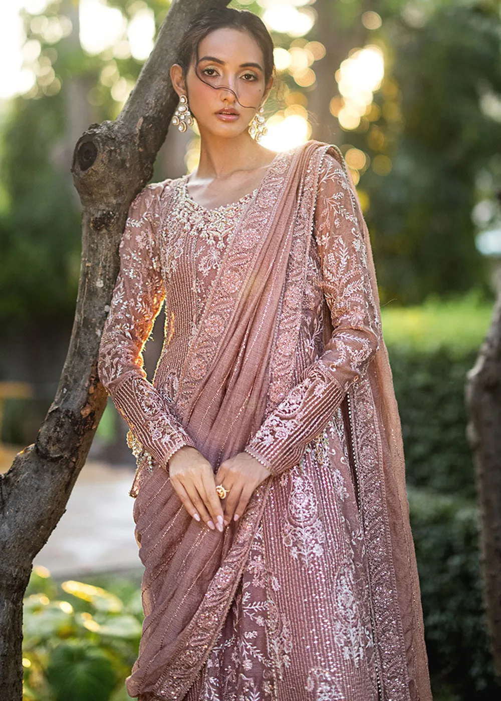 Roohi Luxury Formal Collection '24 by Mushq | VANIYA